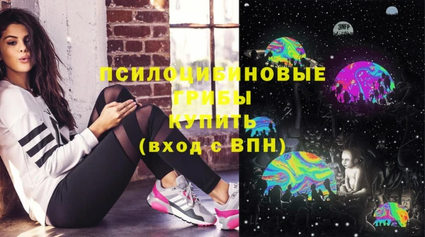 стаф Баксан