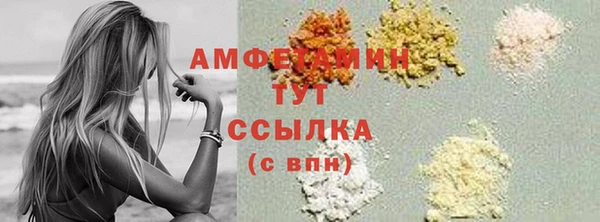 индика Балабаново