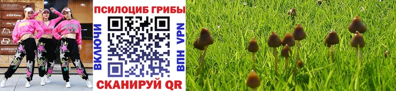 купить закладку Белинский Галлюциногенные грибы GOLDEN TEACHER